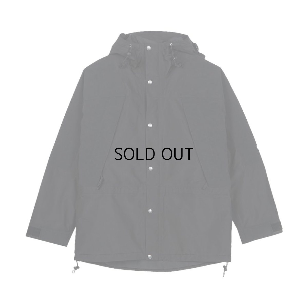 画像1: THE NORTH FACE 1994 RETRO MOUNTAIN LIGHT FUTURELIGHT JACKET (1)