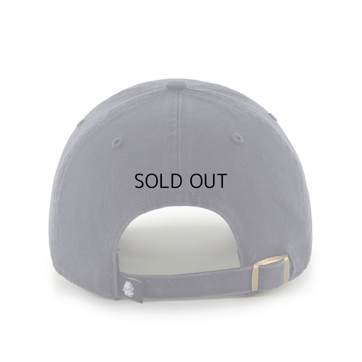 画像2: '47 BRAND CHICAGO CUBS CLEAN UP CAP (2)