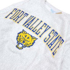 画像3: CHAMPION FORT VALLEY STATE WILDCATS ARCH LOGO REVERSE WEAVE SWEATSHIRT (3)