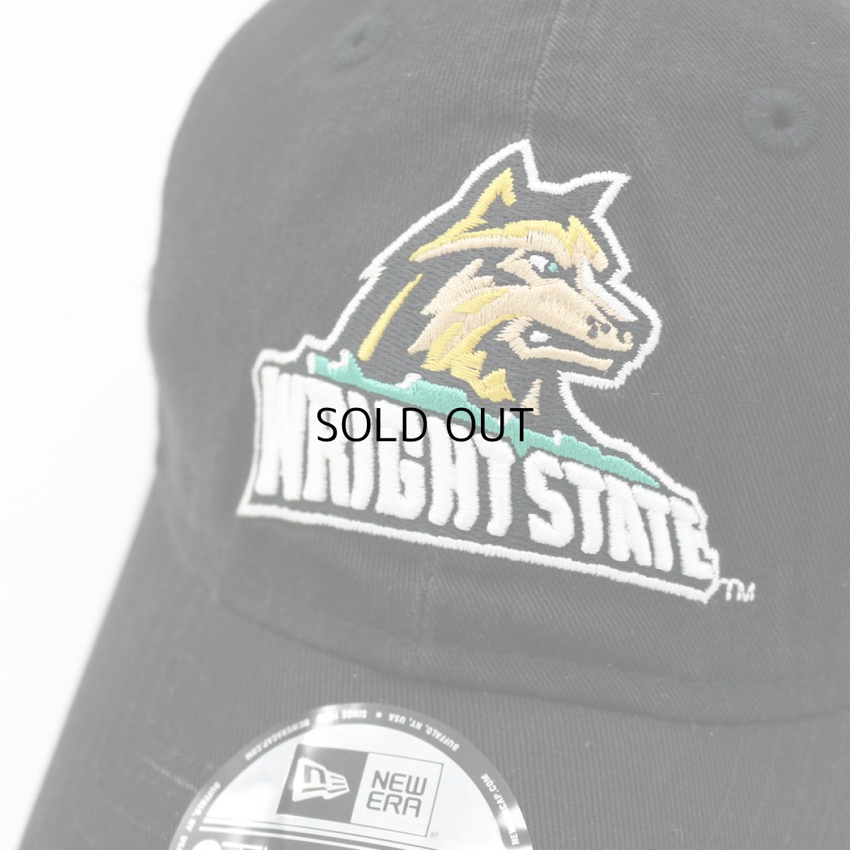 画像5: NEW ERA NCAA WRIGHT STATE RAIDERS 9TWENTY (5)