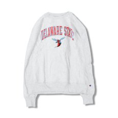 画像1: CHAMPION DELAWARE STATE HORNETS ARCH LOGO REVERSE WEAVE SWEATSHIRT (1)