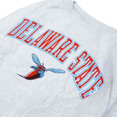 画像3: CHAMPION DELAWARE STATE HORNETS ARCH LOGO REVERSE WEAVE SWEATSHIRT (3)