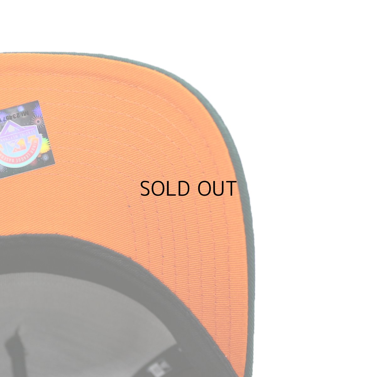 画像6: NEW ERA MiLB BUFFALO BISONS A-FRAME 9FORTY (6)