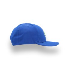 画像2: NEW ERA NCAA FLORIDA GATORS LOW PROFILE 9FIFTY (2)
