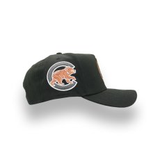 画像2: NEW ERA CHICAGO CUBS "MASCOT CLARK" COOPERSTOWN LOGO SIDE PATCH A-FRAME 9FORTY (2)
