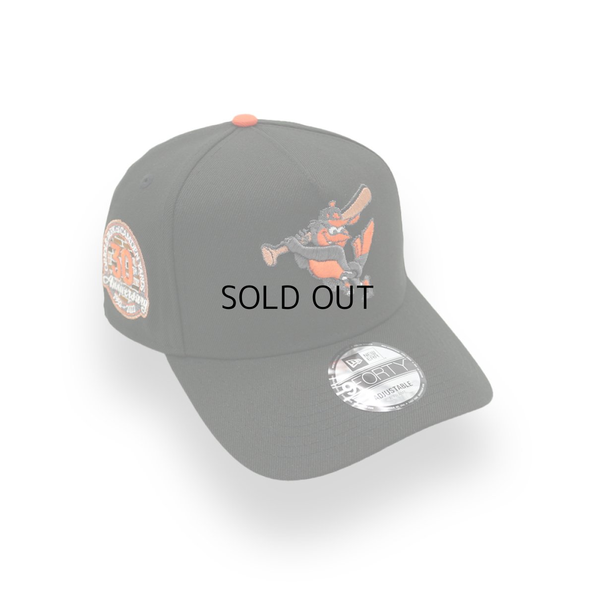 画像1: NEW ERA BALTIMORE ORIOLES  "MASCOT THE ORIOLE BIRD" 30TH ANNIVERSARY SIDE PATCH A-FRAME 9FORTY (1)