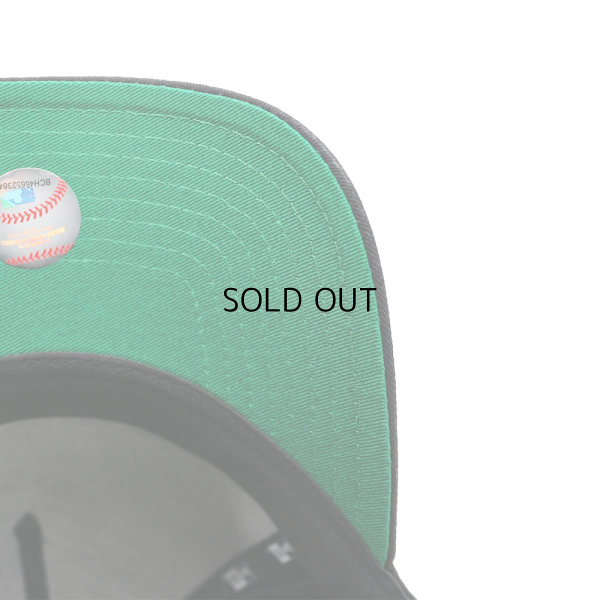 画像6: NEW ERA DETROIT TIGERS "MASCOT PAWS" E-FRAME 9FORTY (6)