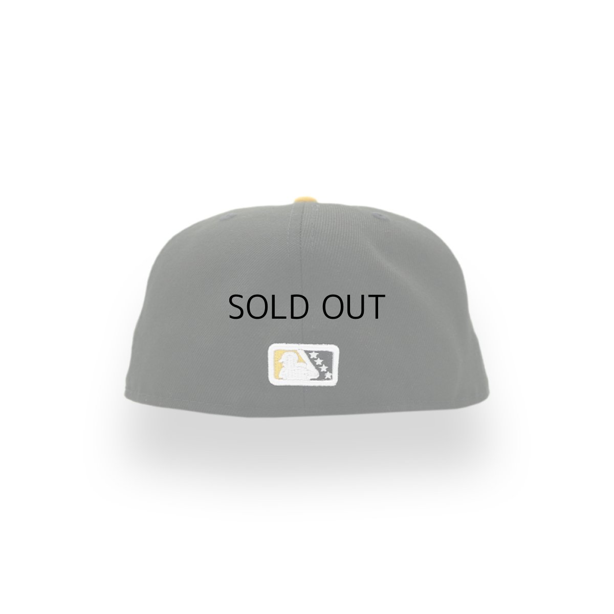 画像3: NEW ERA MiLB ROCHESTER RED WINGS 59FIFTY "THEME NIGHT COLLECTION" (3)