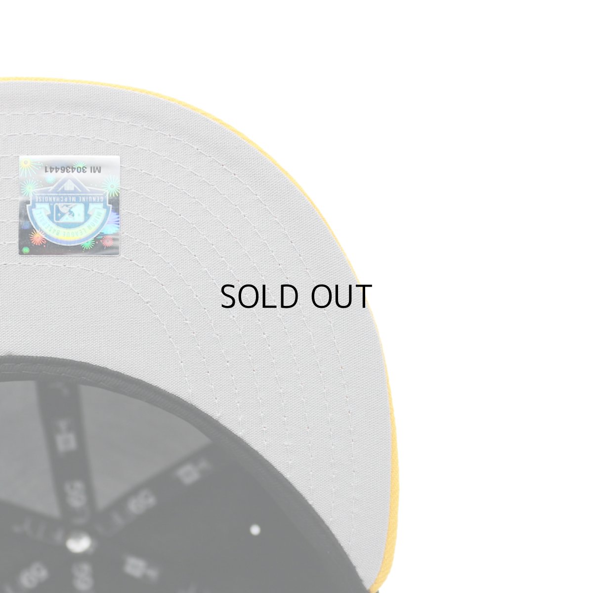 画像6: NEW ERA MiLB ROCHESTER RED WINGS 59FIFTY "THEME NIGHT COLLECTION" (6)