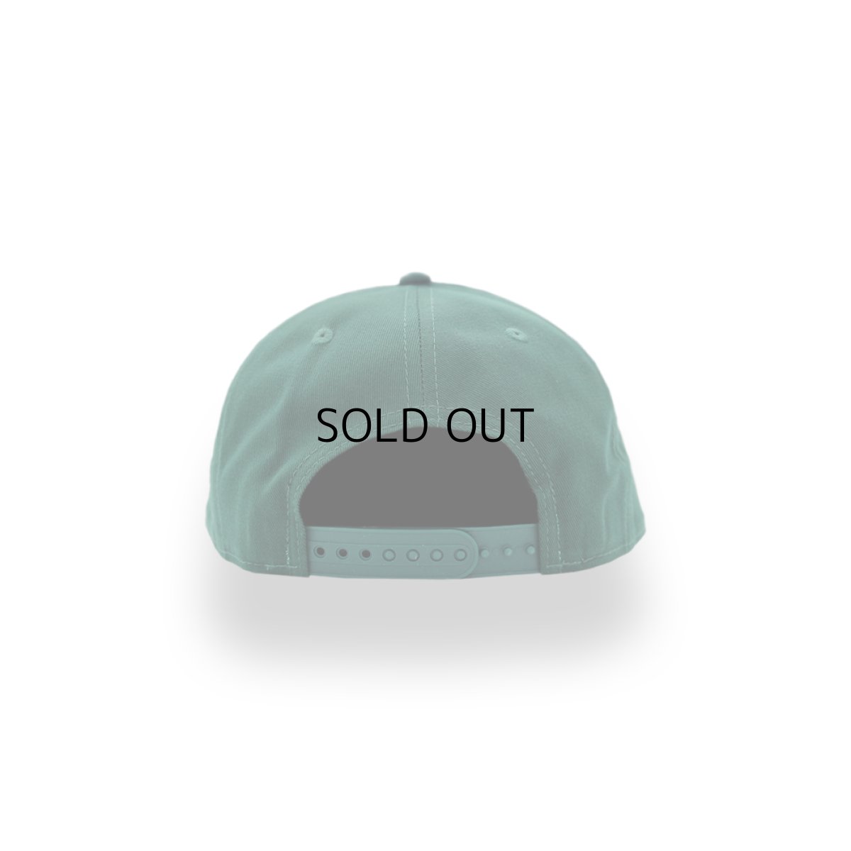 画像3: NEW ERA NCAA MICHIGAN STATE SPARTANS LOW PROFILE 9FIFTY (3)