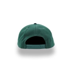 画像3: NEW ERA NCAA MICHIGAN STATE SPARTANS LOW PROFILE 9FIFTY (3)