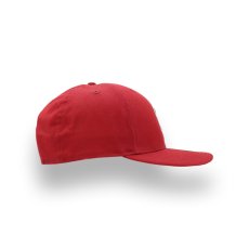 画像2: NEW ERA NCAA SOUTH CAROLINA GAMECOCKS LOW PROFILE 9FIFTY (2)