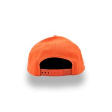 画像3: NEW ERA NCAA CLEMSON TIGERS LOW PROFILE 9FIFTY (3)