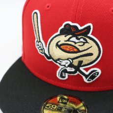 画像5: NEW ERA MiLB ERIE SEAWOLVES "THEME NIGHT COLLECTION" (5)