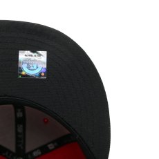 画像6: NEW ERA MiLB ERIE SEAWOLVES "THEME NIGHT COLLECTION" (6)