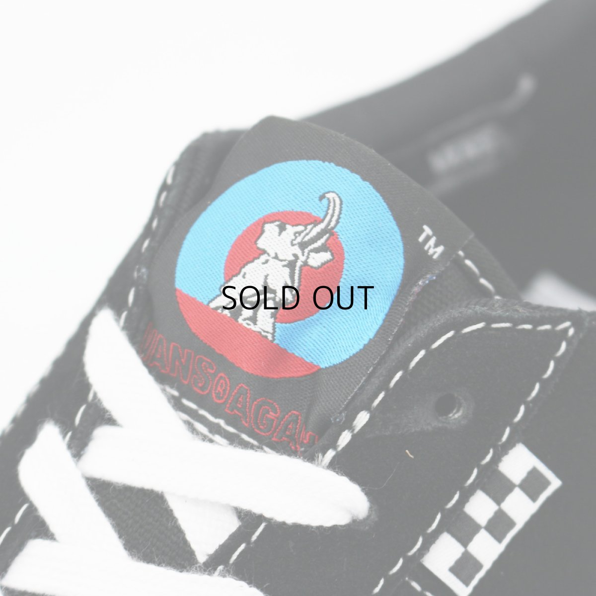 画像6: VANS SKATE SALMAN AGAH VCU (6)