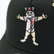 画像5: NEW ERA X BIG LEAGUE CHEW ARIZONA DIAMONDBACKS "MASCOT D. Baxter the Bobcat" A-FRAME 9FORTY TRUCKER (5)