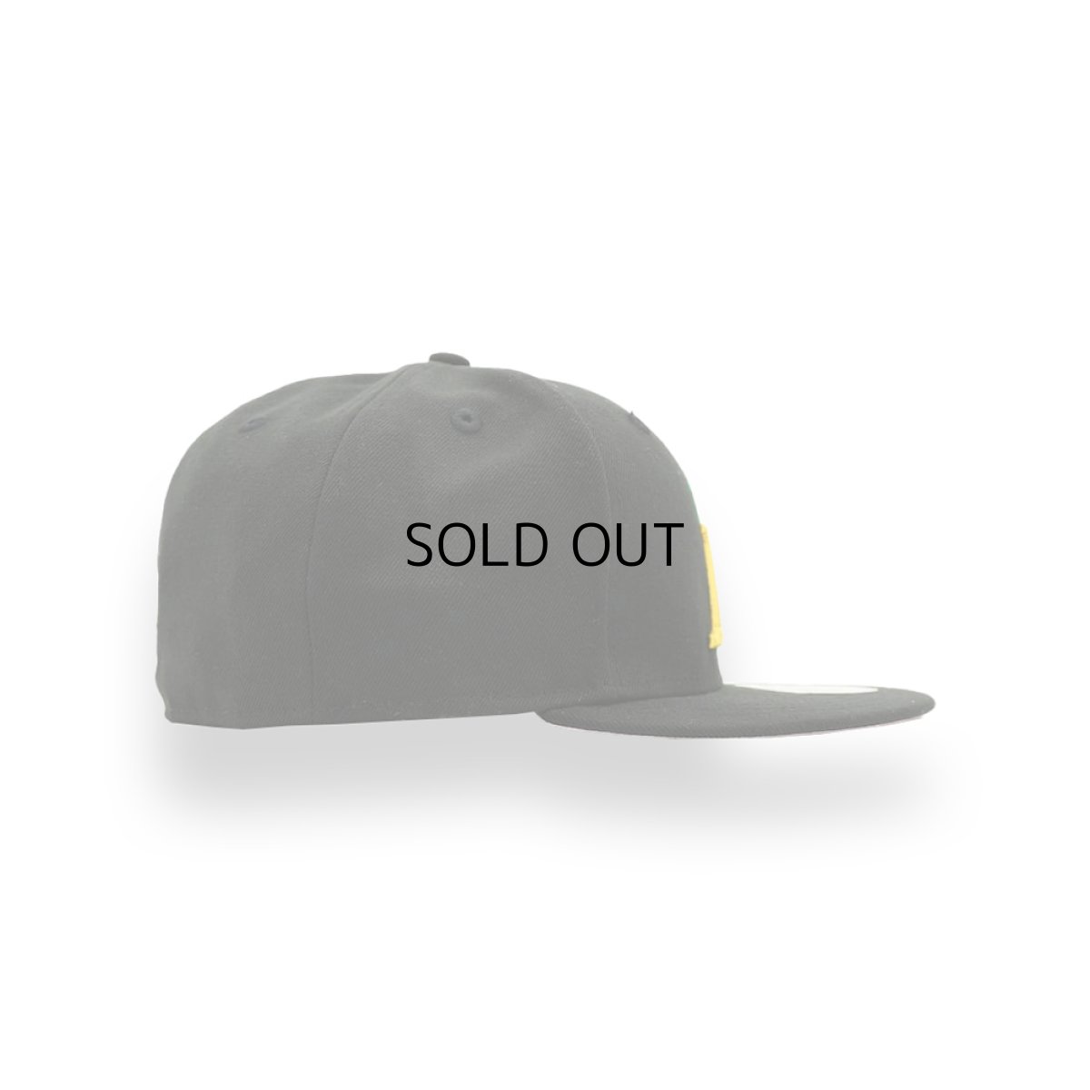 画像2: NEW ERA NBA LOS ANGELES LAKERS PALM TREE 59FIFTY (2)