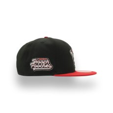 画像2: NEW ERA MiLB WINSTON-SALEM HOOCH POOCHES 59FIFTY (2)