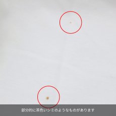 画像5: CHAMPION HERITAGE 7oz TEE《OUTLET》 (5)