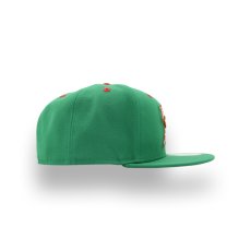 画像2: NEW ERA MiLB AKRON RUBBERDUCKS "THEME NIGHT COLLECTION" (2)