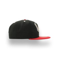 画像2: NEW ERA MiLB ERIE SEAWOLVES "THEME NIGHT COLLECTION" (2)