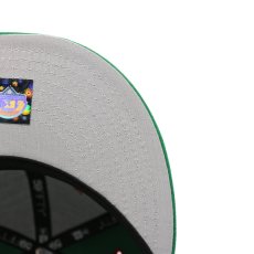 画像6: NEW ERA MiLB AKRON RUBBERDUCKS "THEME NIGHT COLLECTION" (6)