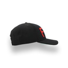 画像2: NEW ERA X FEAR OF GOD NEGRO LEAGUE KANSAS CITY MONARCHS 9FORTY (2)